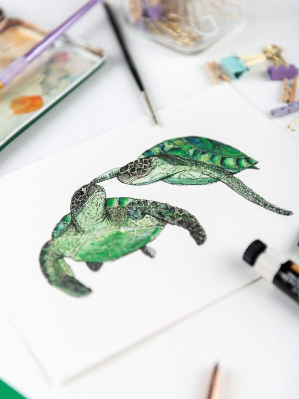 Art print - illustration of two turtles swimming touching flipper to nose