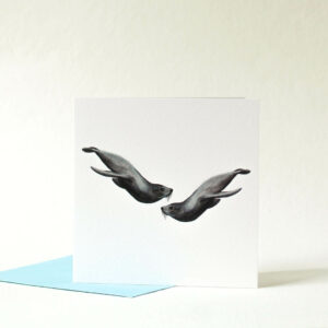 Printed card - two seals swimming