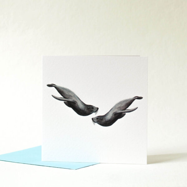 Printed card - two seals swimming