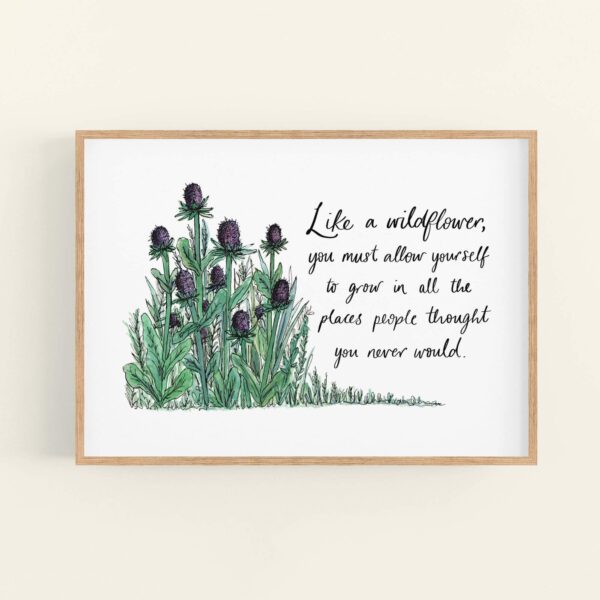 Illustration of wild thistles, with hand lettered quote 'Like a wildflower, you must allow yourself to grow in all the places people thought you never would.' in a wooden frame