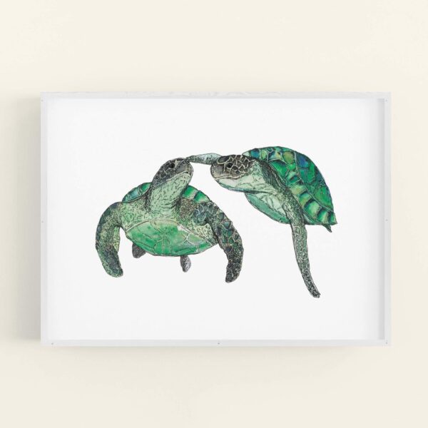Illustration of 2 turtles swimming - white frame