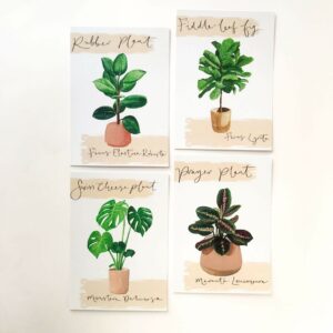 Illustrated house plant postcards