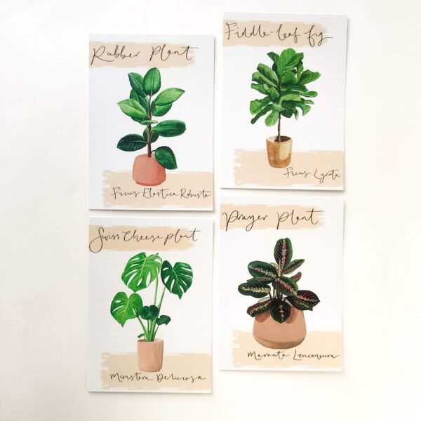 Illustrated house plant postcards