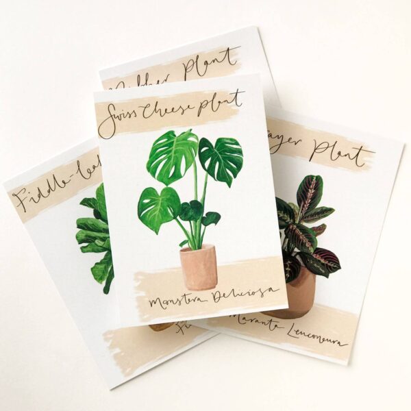 monstera postcard stacked on top of house plant postcard designs