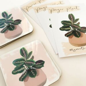 Stack of house plant coasters with prayer plant illustration design and matching postcards