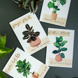 Set of 4 illustrated house plant postcards on a green desk