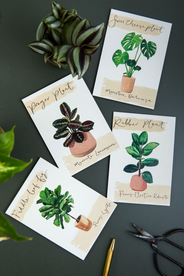 Set of 4 illustrated house plant postcards on a green desk