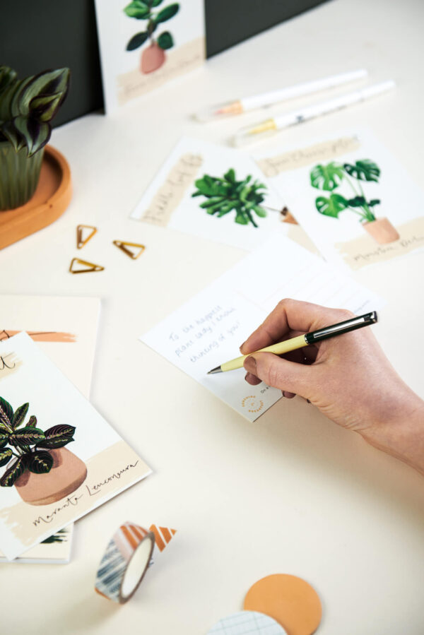 Writing on illustrated plant postcards on a pretty desk