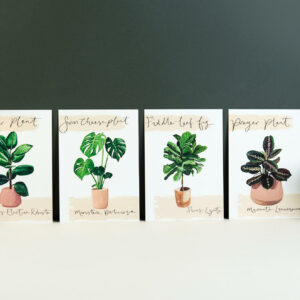 illustrated house plants postcards by Sunshine for Breakfast