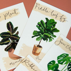 illustrated house plants postcards