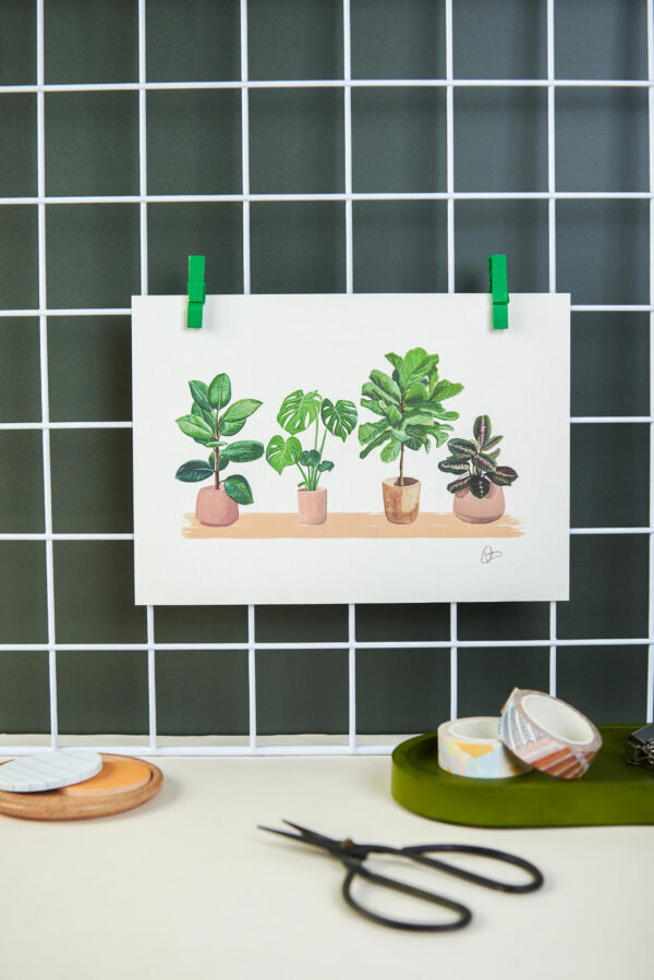 house plants A5 art print illustration