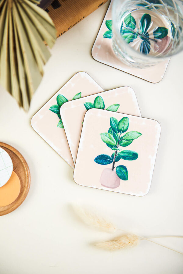 rubber plant set of 4 house plant coasters